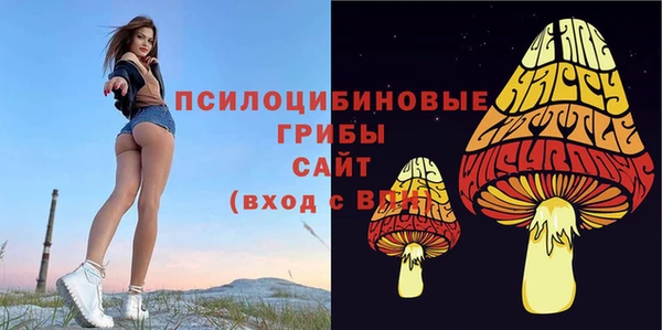 твердый Балахна